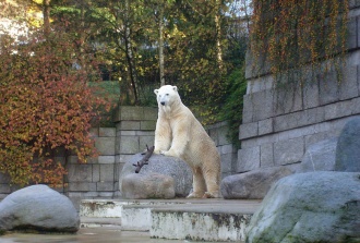 Wuppertal Zoo 