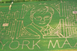 York Maze 