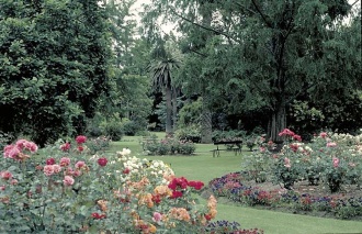 Albury Botanic Gardens