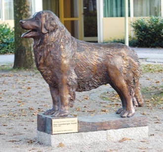 Leonberg Dog Statue 