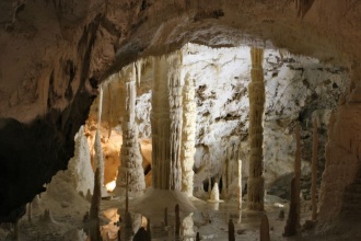 Grotta Gigante 