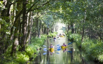 The Spreewald 