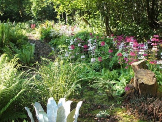 Moors Meadow