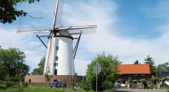 Brown mill