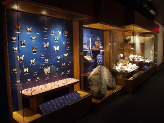 The Mineralogical Museum of the Ecole des Mines d'Ales 