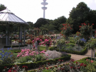 Park plants and flowers ( Planten un Blomen Park )