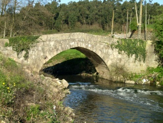 Bridge D.Goimil (Ponte D. Goimil) 