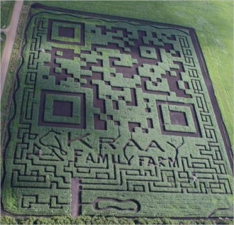 The Amazing Field Maze